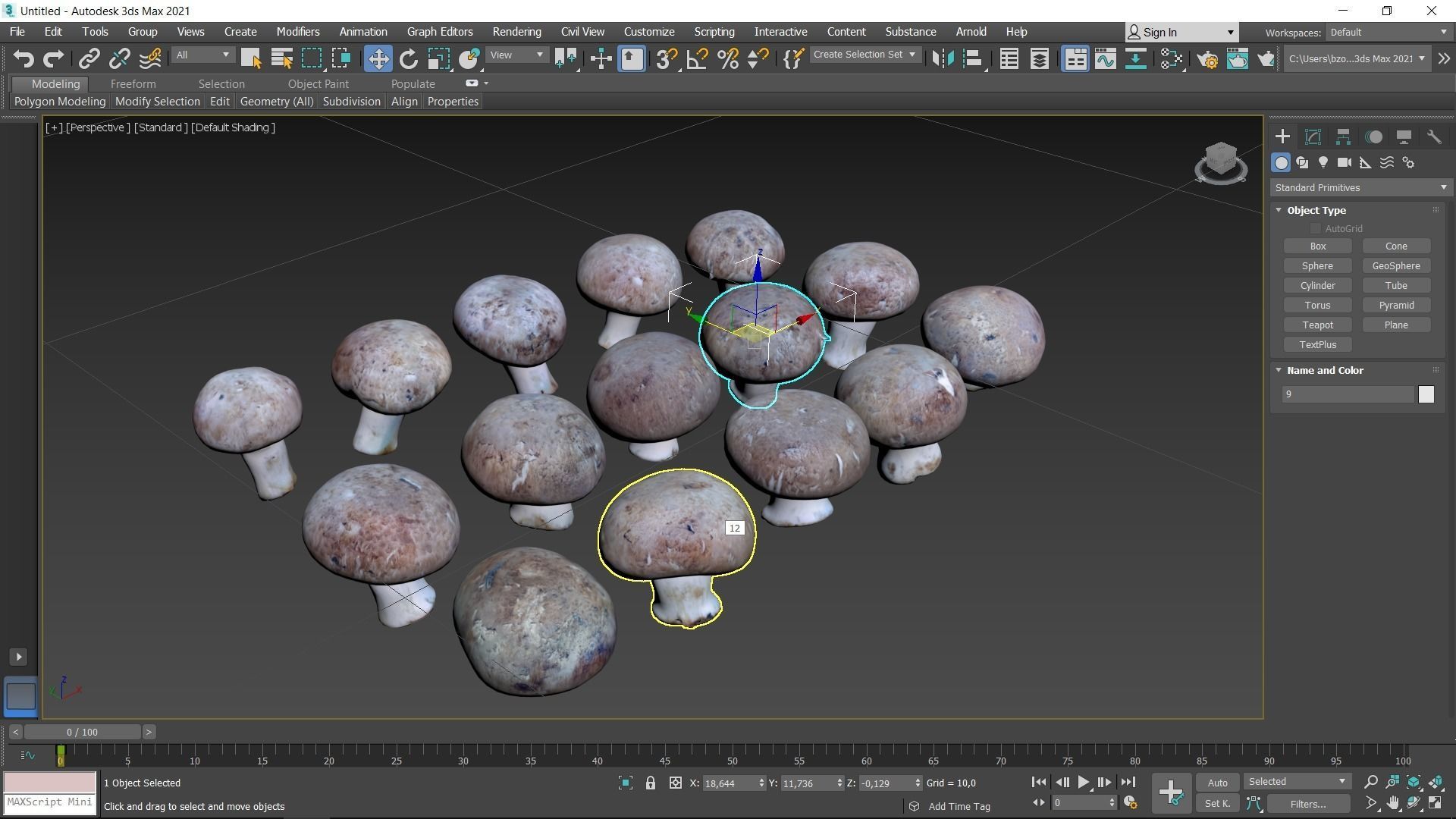 Brown Mushroom Scan Set Low-poly 3D model_54
