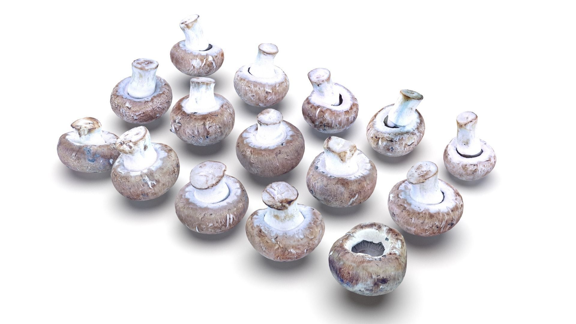 Brown Mushroom Scan Set Low-poly 3D model_17