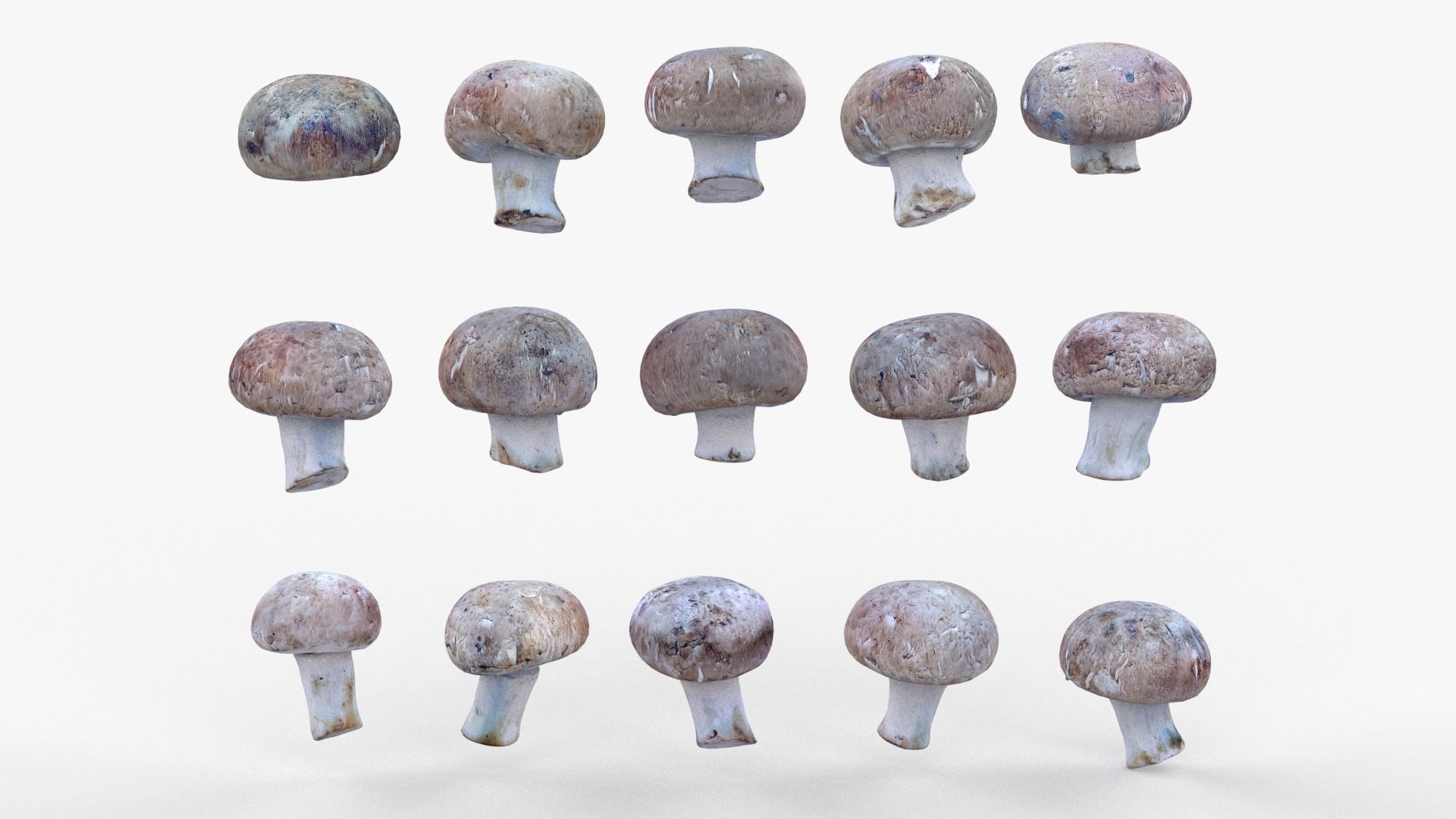 Brown Mushroom Scan Set Low-poly 3D model_6