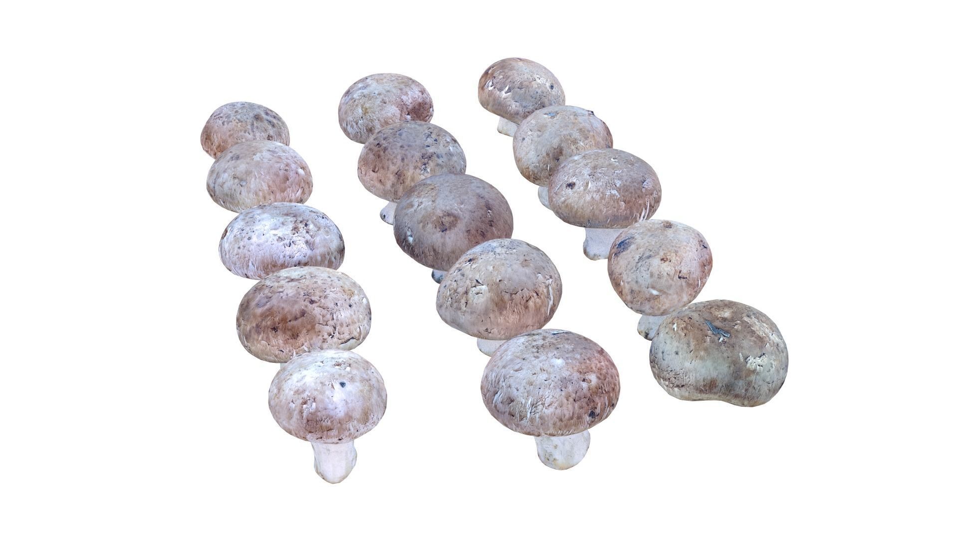 Brown Mushroom Scan Set Low-poly 3D model_10