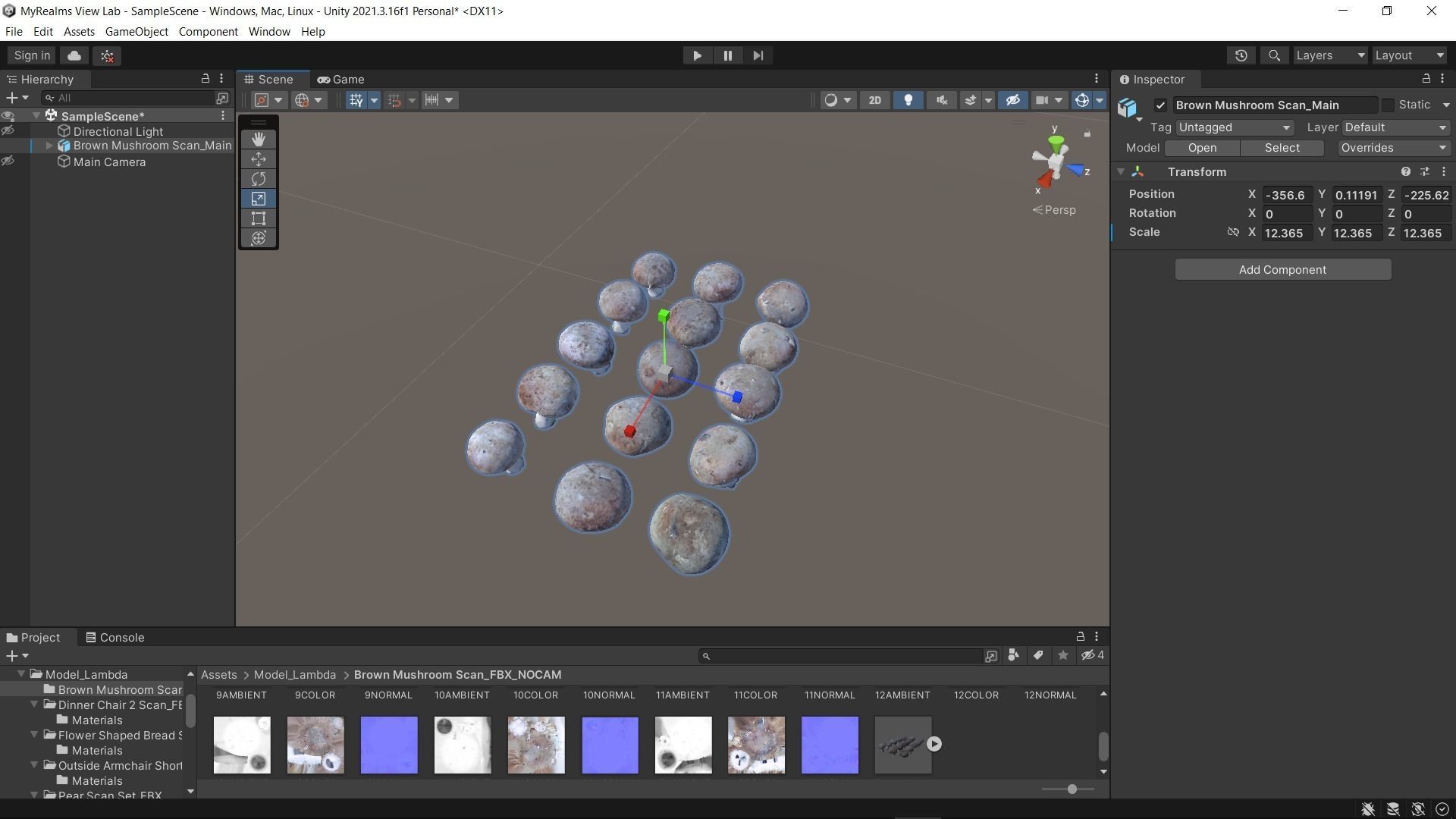Brown Mushroom Scan Set Low-poly 3D model_55