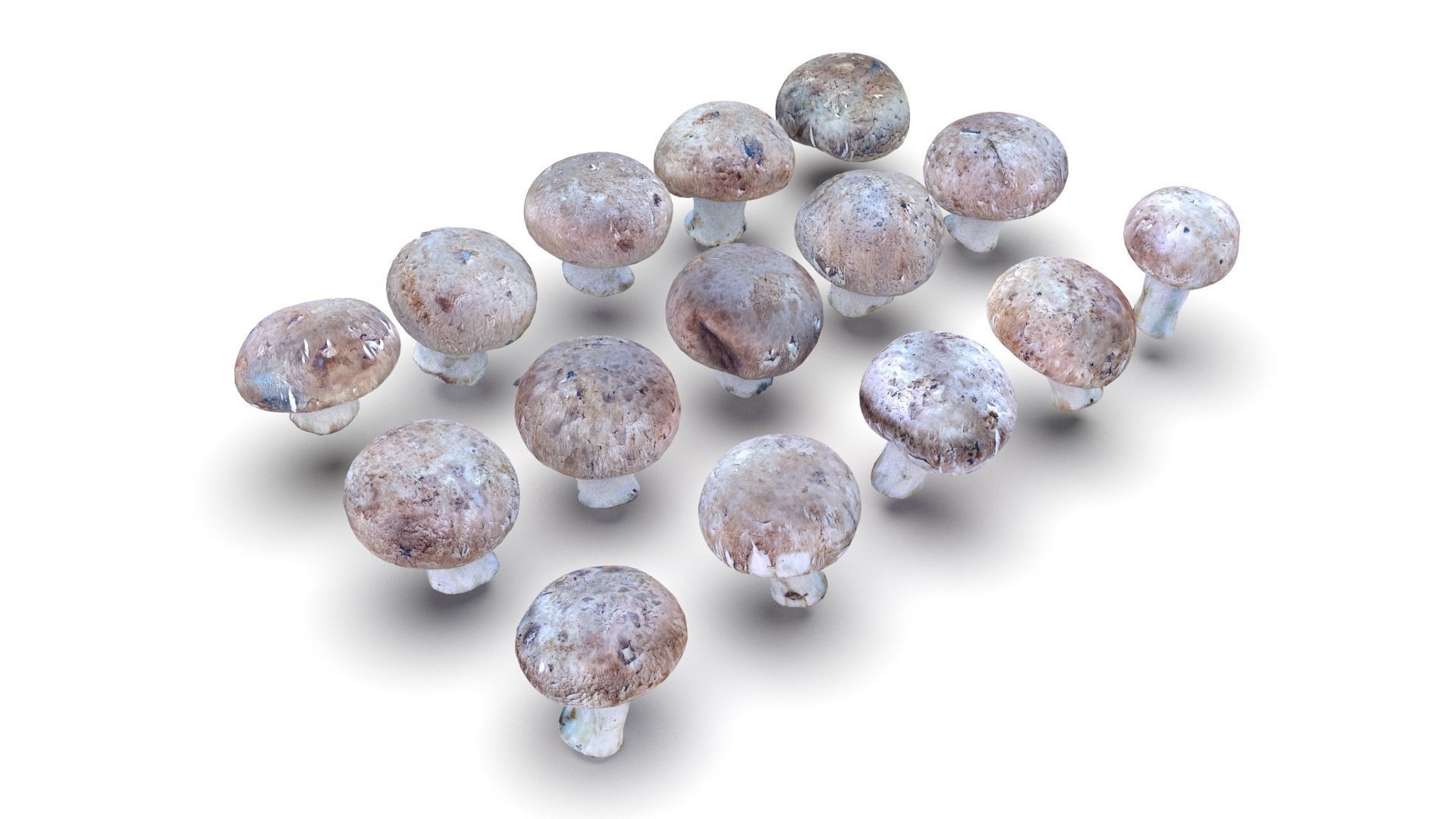 Brown Mushroom Scan Set Low-poly 3D model_8