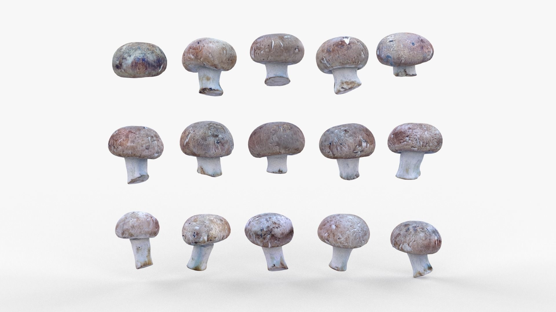 Brown Mushroom Scan Set Low-poly 3D model_7