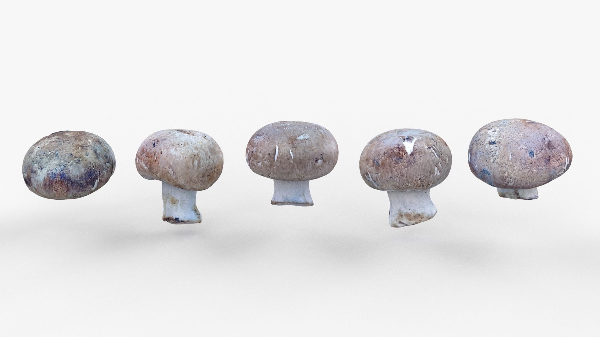 Brown Mushroom Scan Set Low-poly 3D model_35