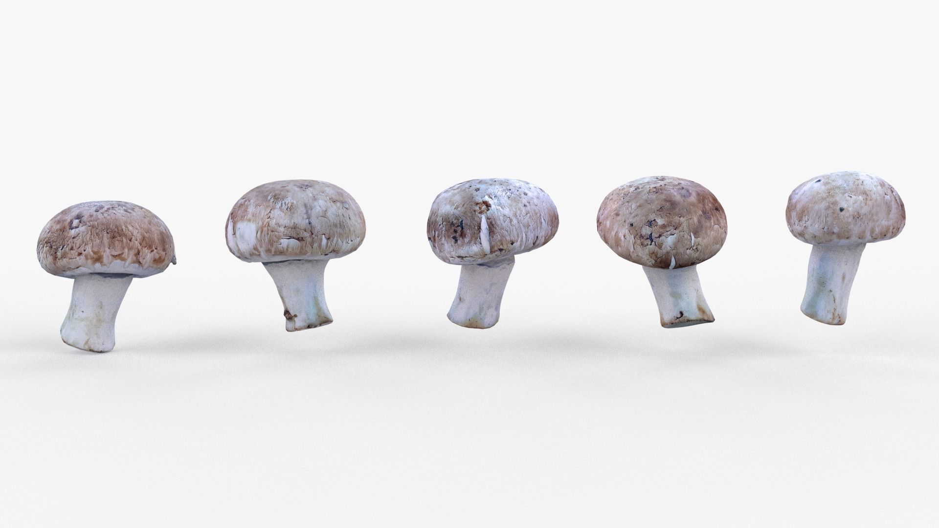 Brown Mushroom Scan Set Low-poly 3D model_30