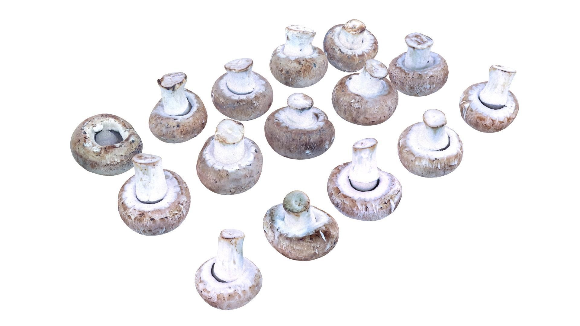 Brown Mushroom Scan Set Low-poly 3D model_18