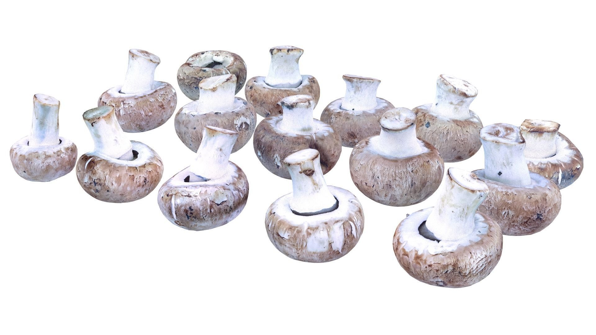Brown Mushroom Scan Set Low-poly 3D model_22