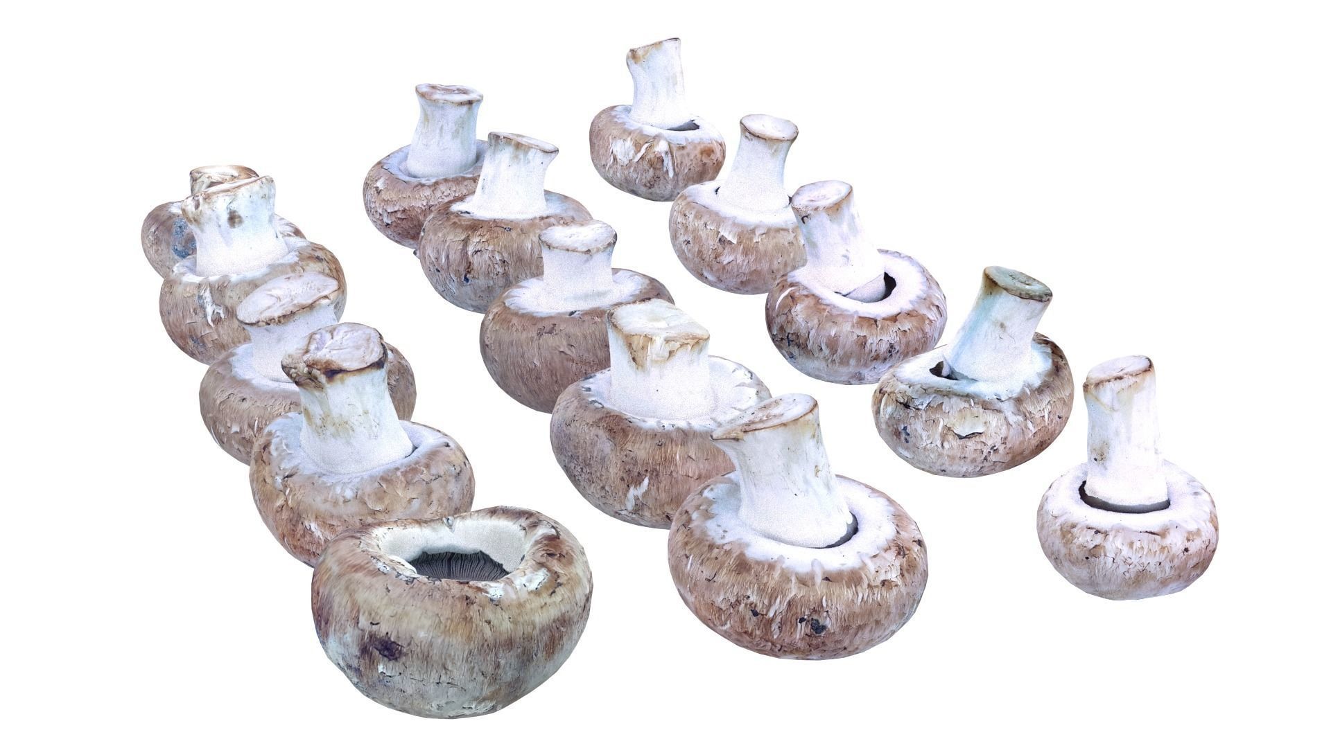 Brown Mushroom Scan Set Low-poly 3D model_24