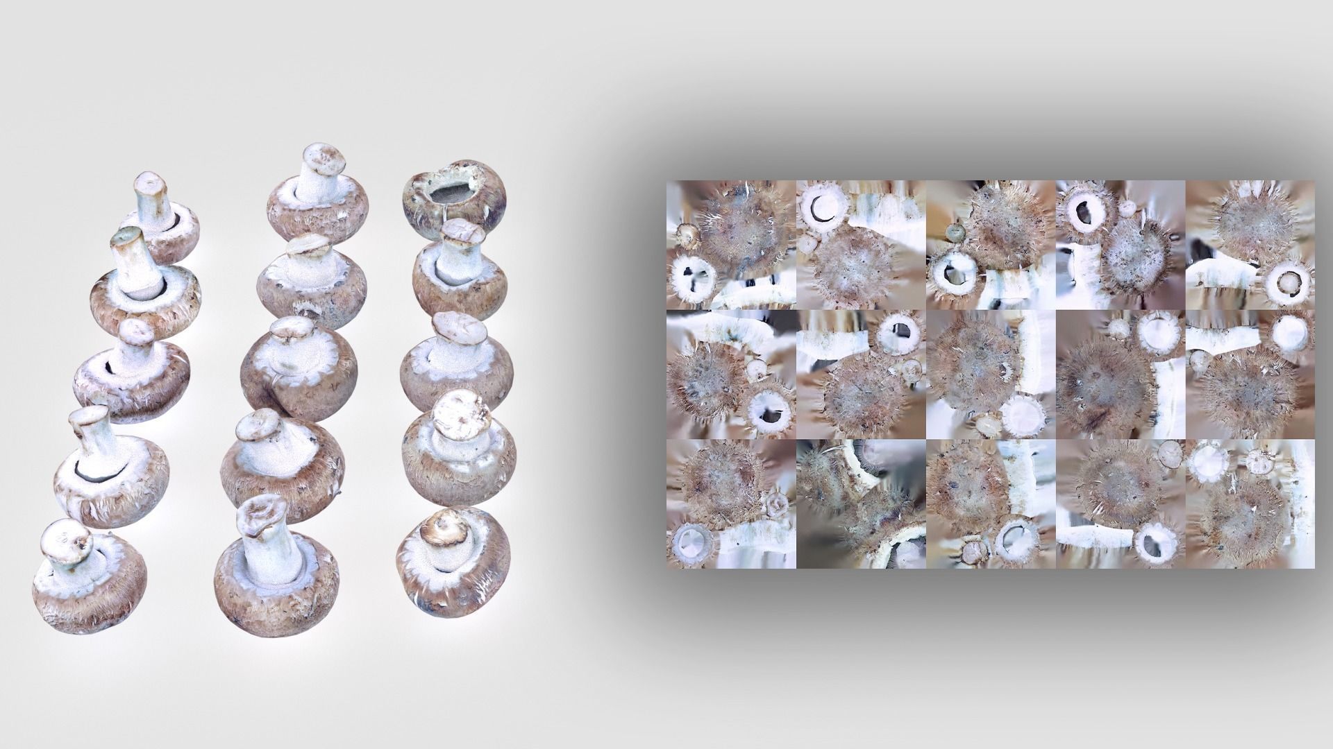 Brown Mushroom Scan Set Low-poly 3D model_47