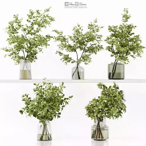 Collection Indoor Plants 044