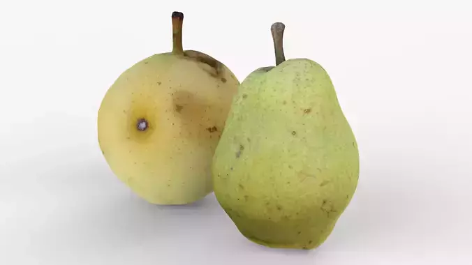 Pear Scan Set 1