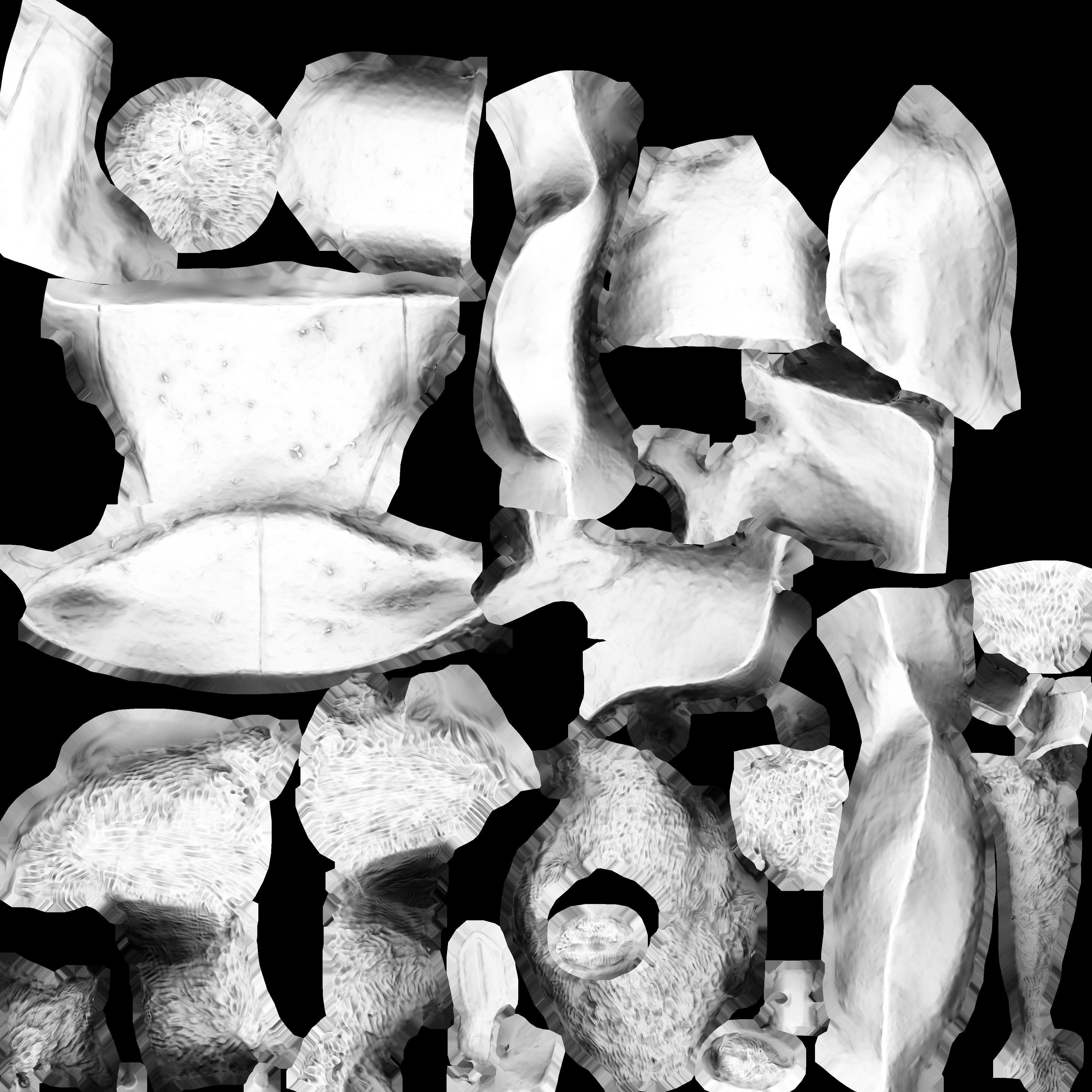 Game Ready Old Teddy Bear Low-poly 3D model_18