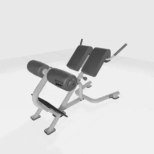 Back Extension Bench