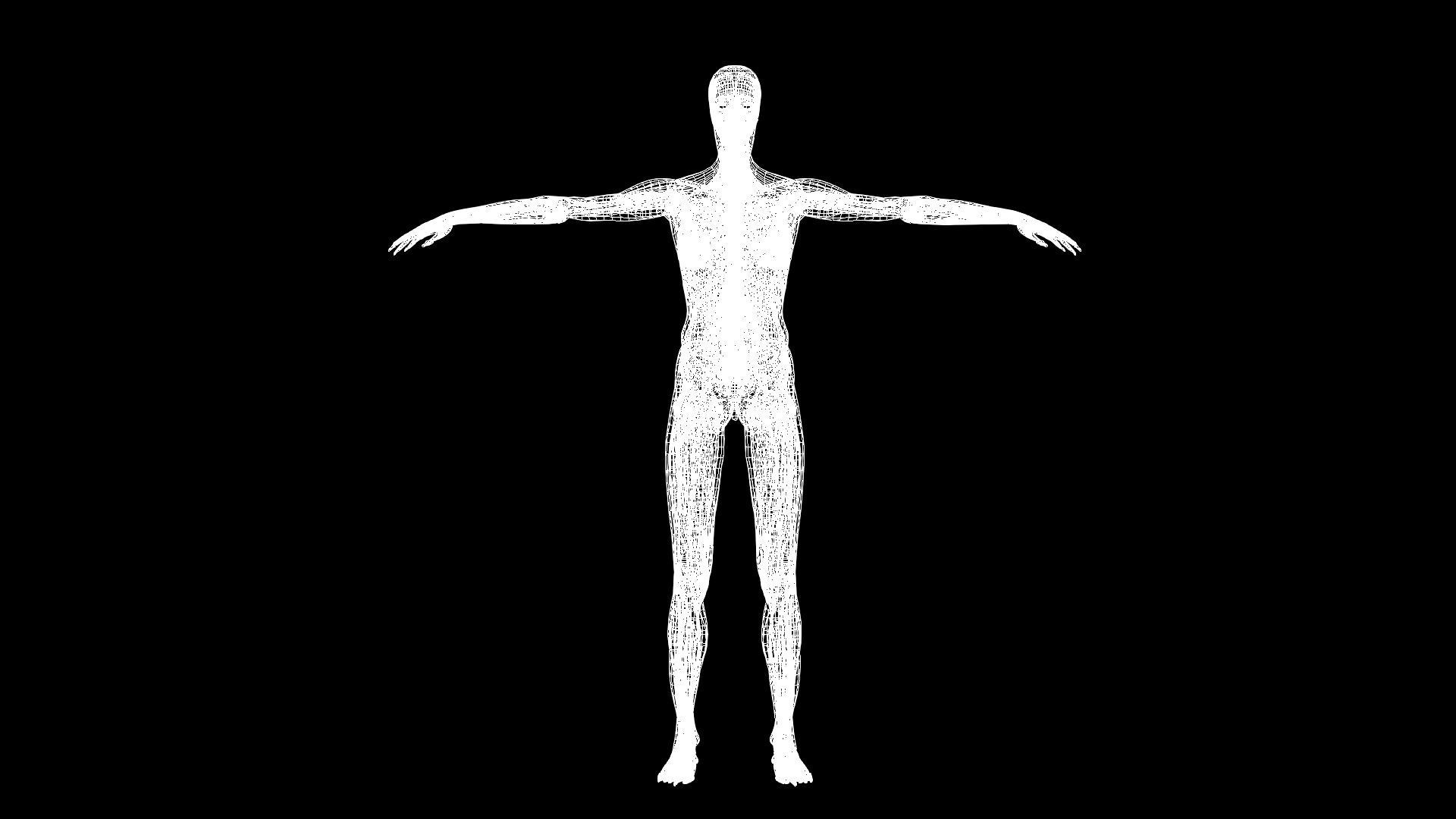 Female Muscle System 3D model_8