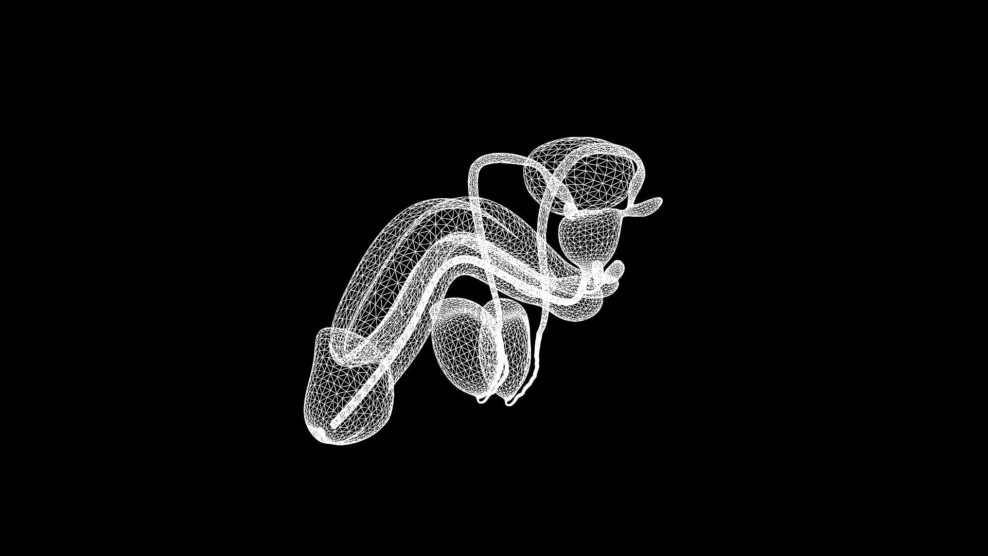Male Genital 3D model_11