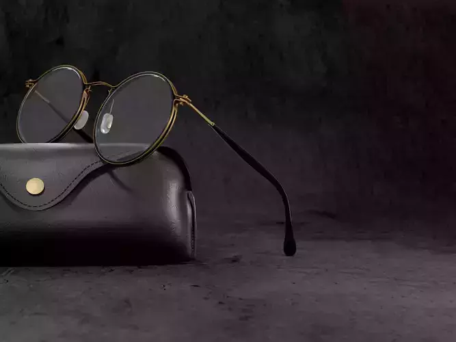 Retro Steam Punk Optical Glasses with leather case