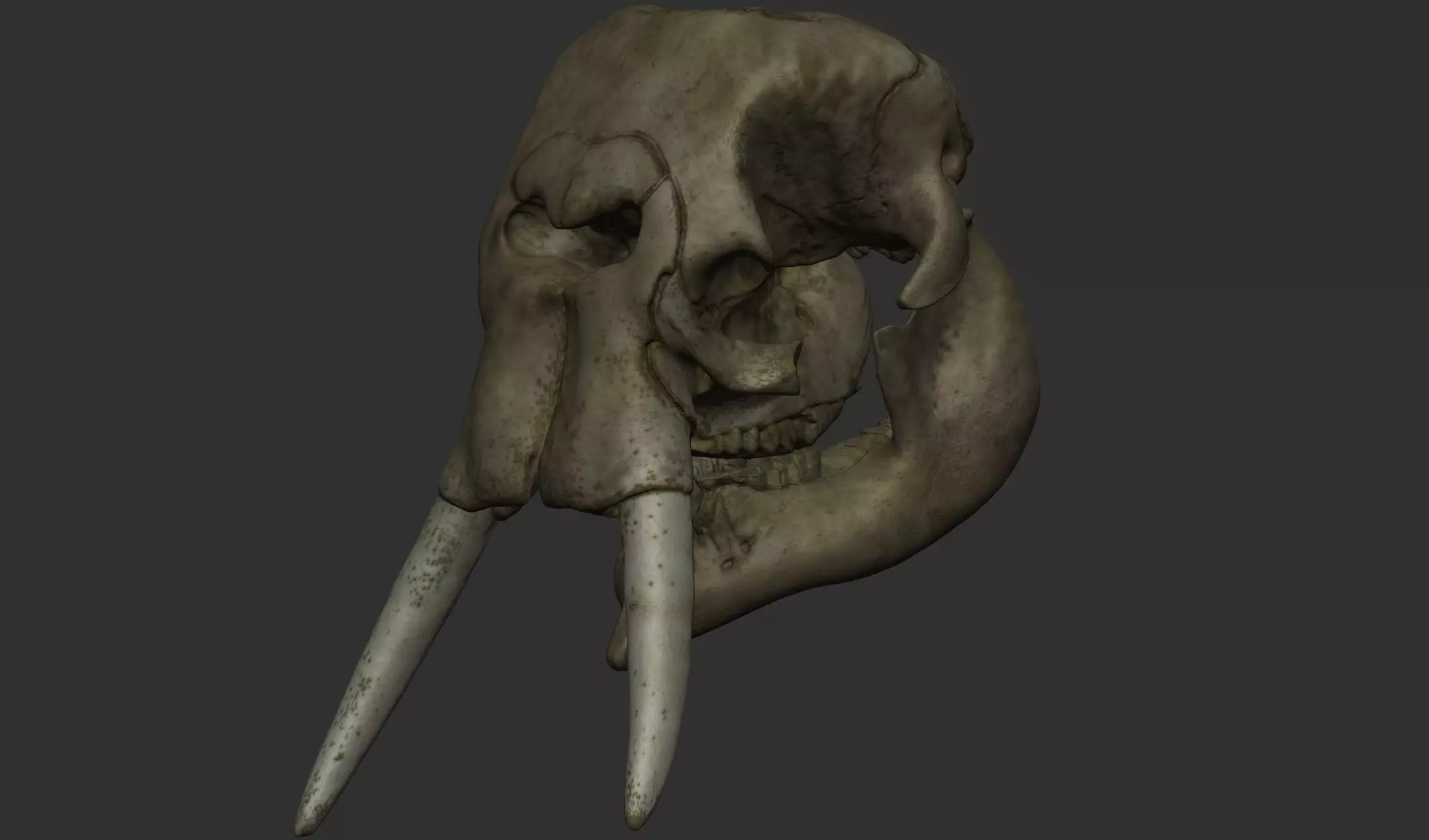 African Elephant Skull 3D Printable 3D print model