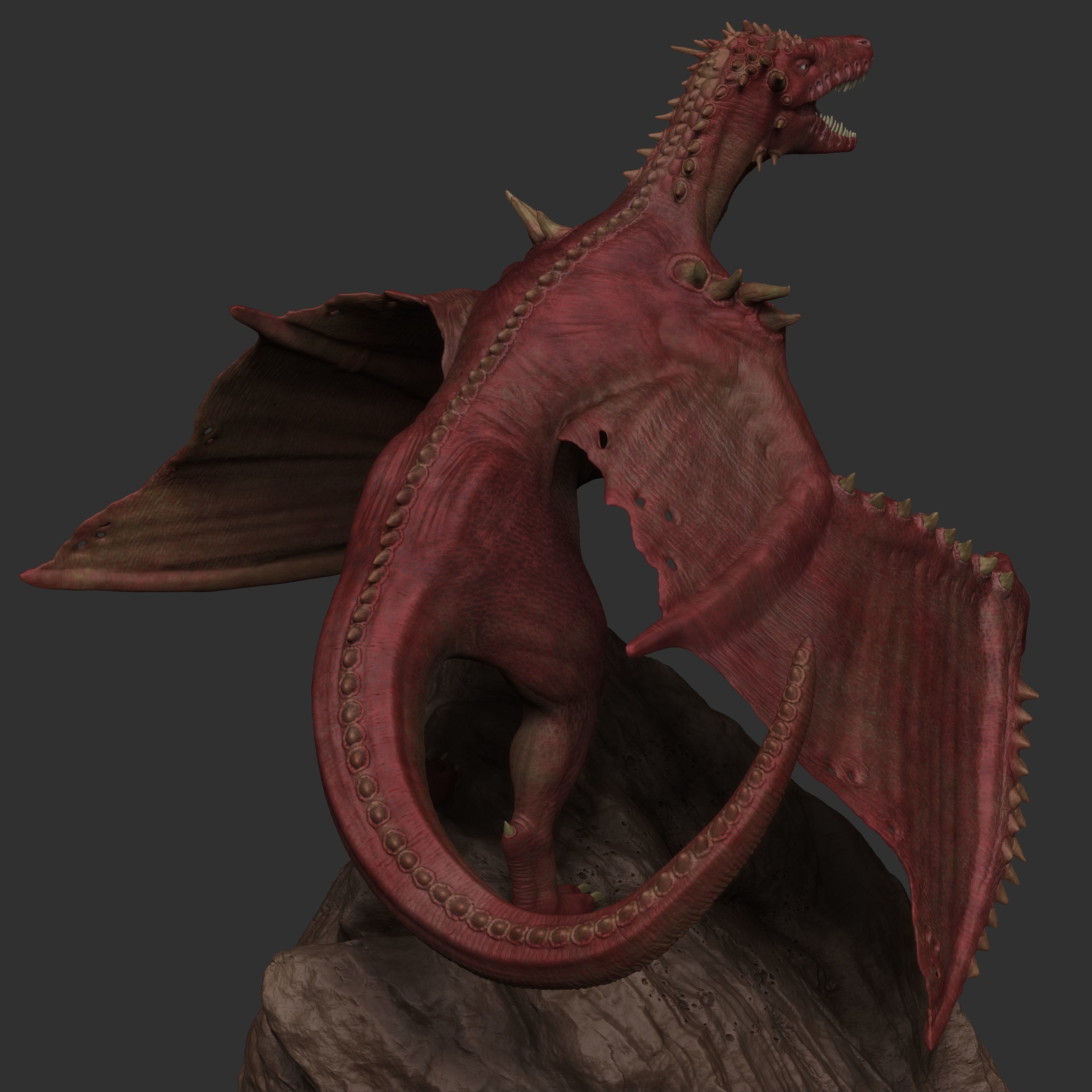 Wervyn Dragon 3D Print Model 3D print model_1