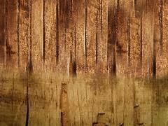 3D Object Environment 3D model_3