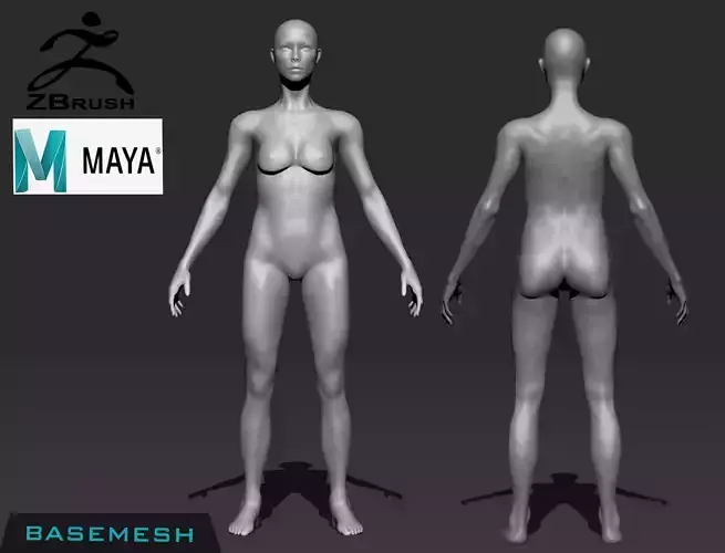Female BaseMesh