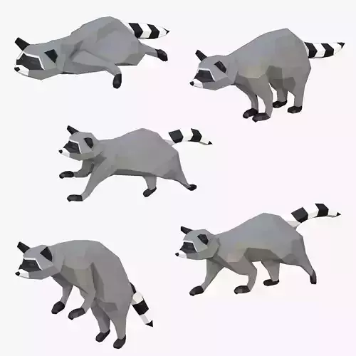 Raccoon Low-poly 3D model