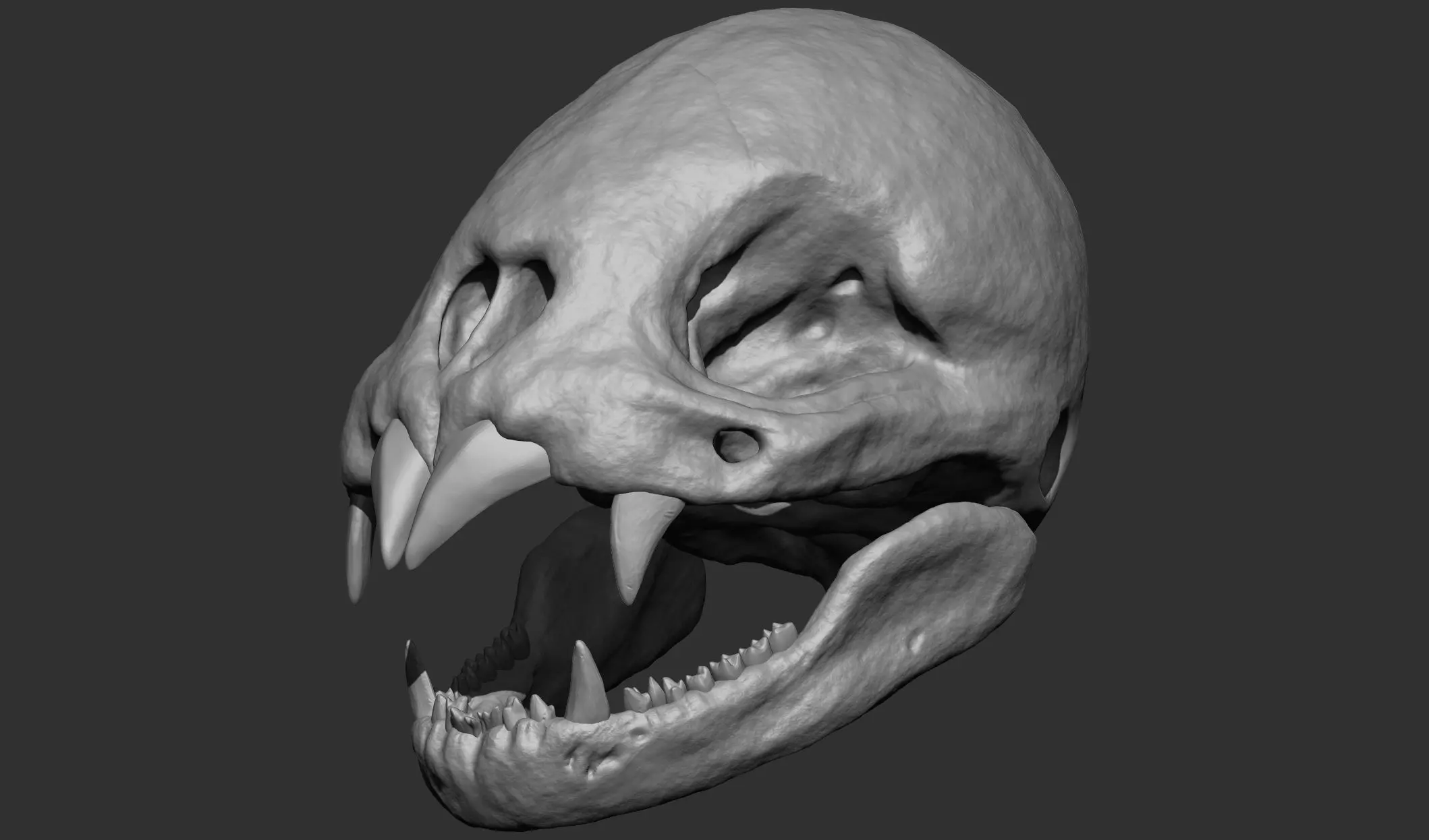 Vampire Bat Skull 3D print model_0
