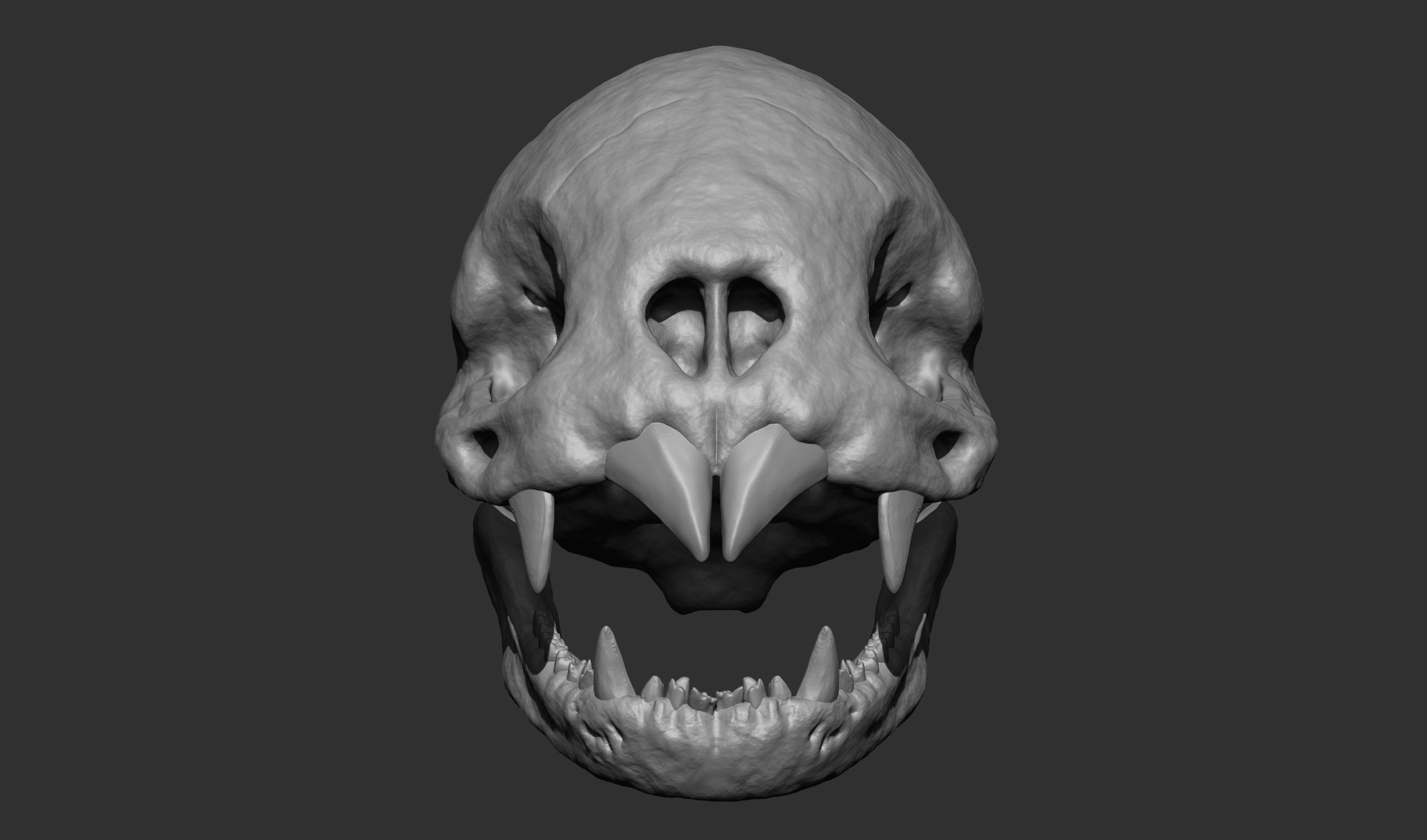 Vampire Bat Skull 3D print model_1