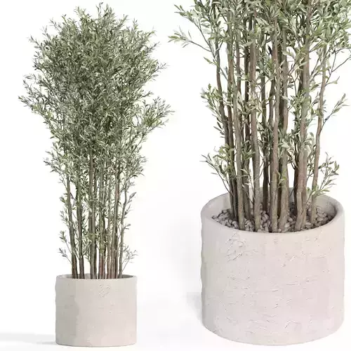 Plants collection 958 3D model