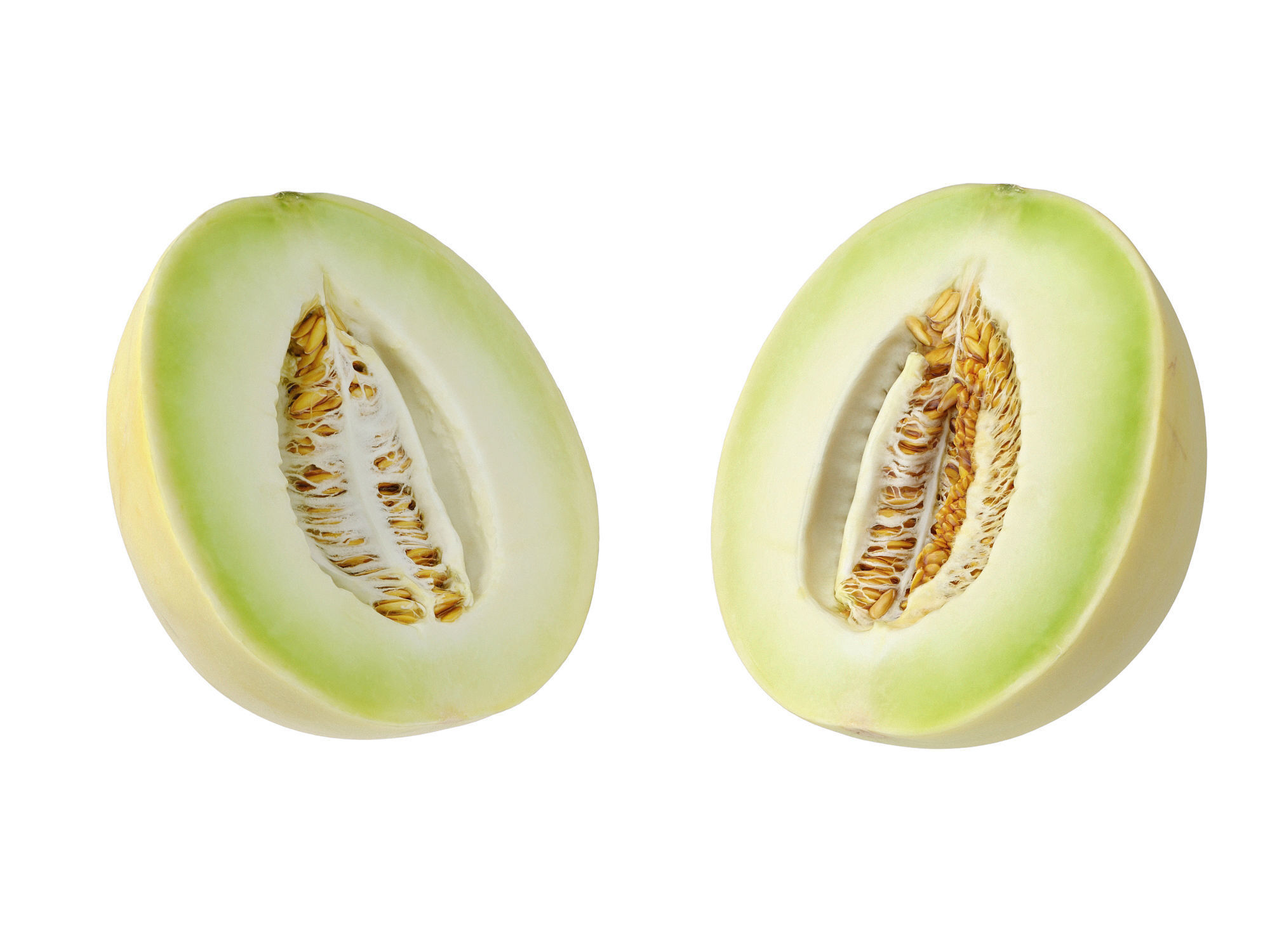 Honeydew Melon Low-poly 3D model_6