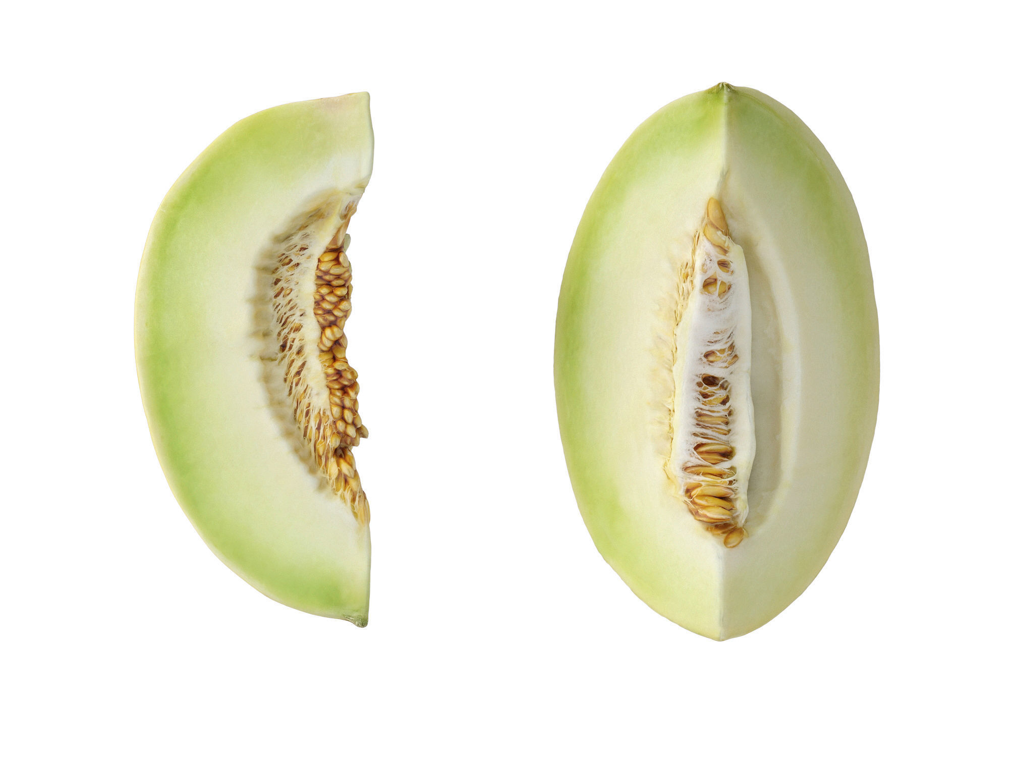 Honeydew Melon Low-poly 3D model_10