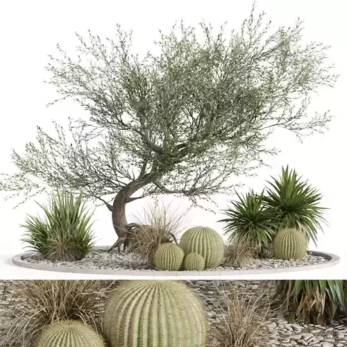 Plants collection 959