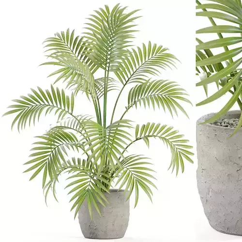 Plants collection 966 3D model