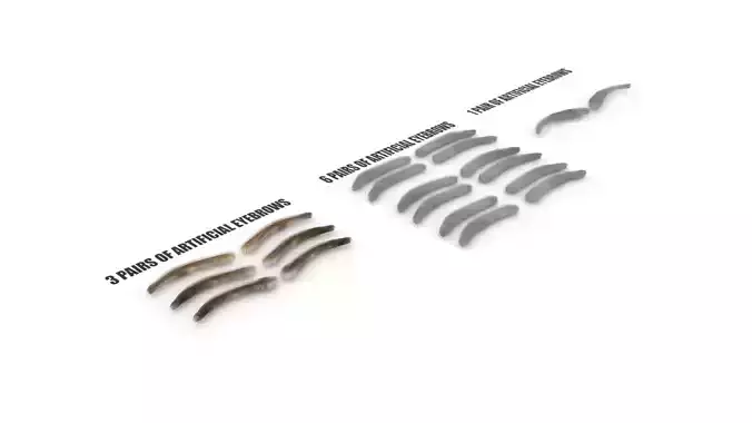 Pack Of Artificial Eyebrows Set 3D model
