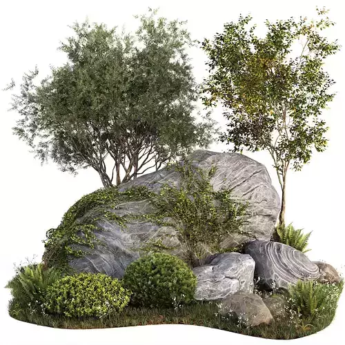 Rocks  Plants Combination