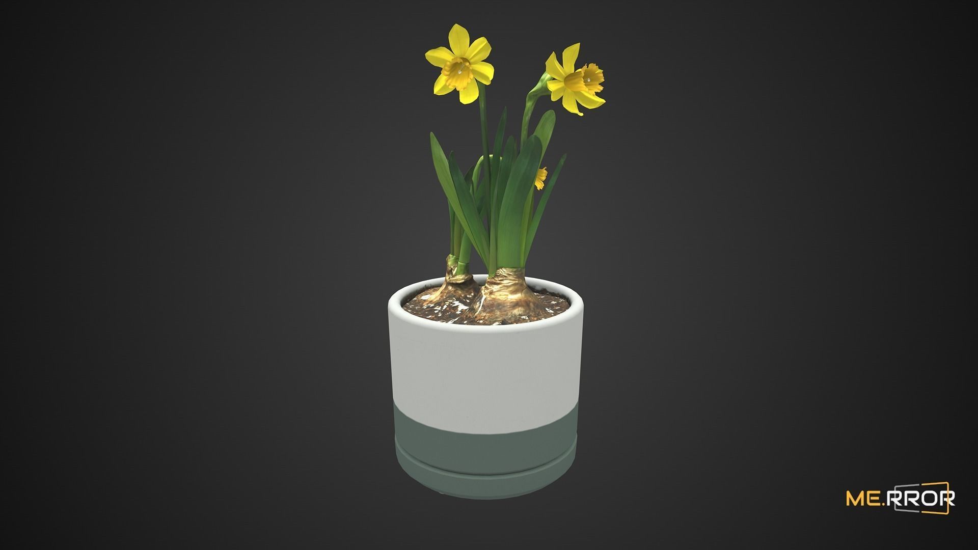 Game Ready Daffodil Pot Low-poly 3D model_6