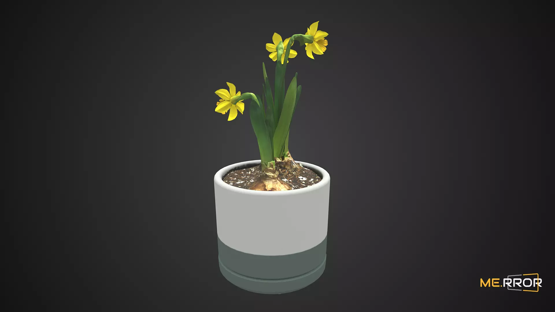 Game Ready Daffodil Pot Low-poly 3D model_0
