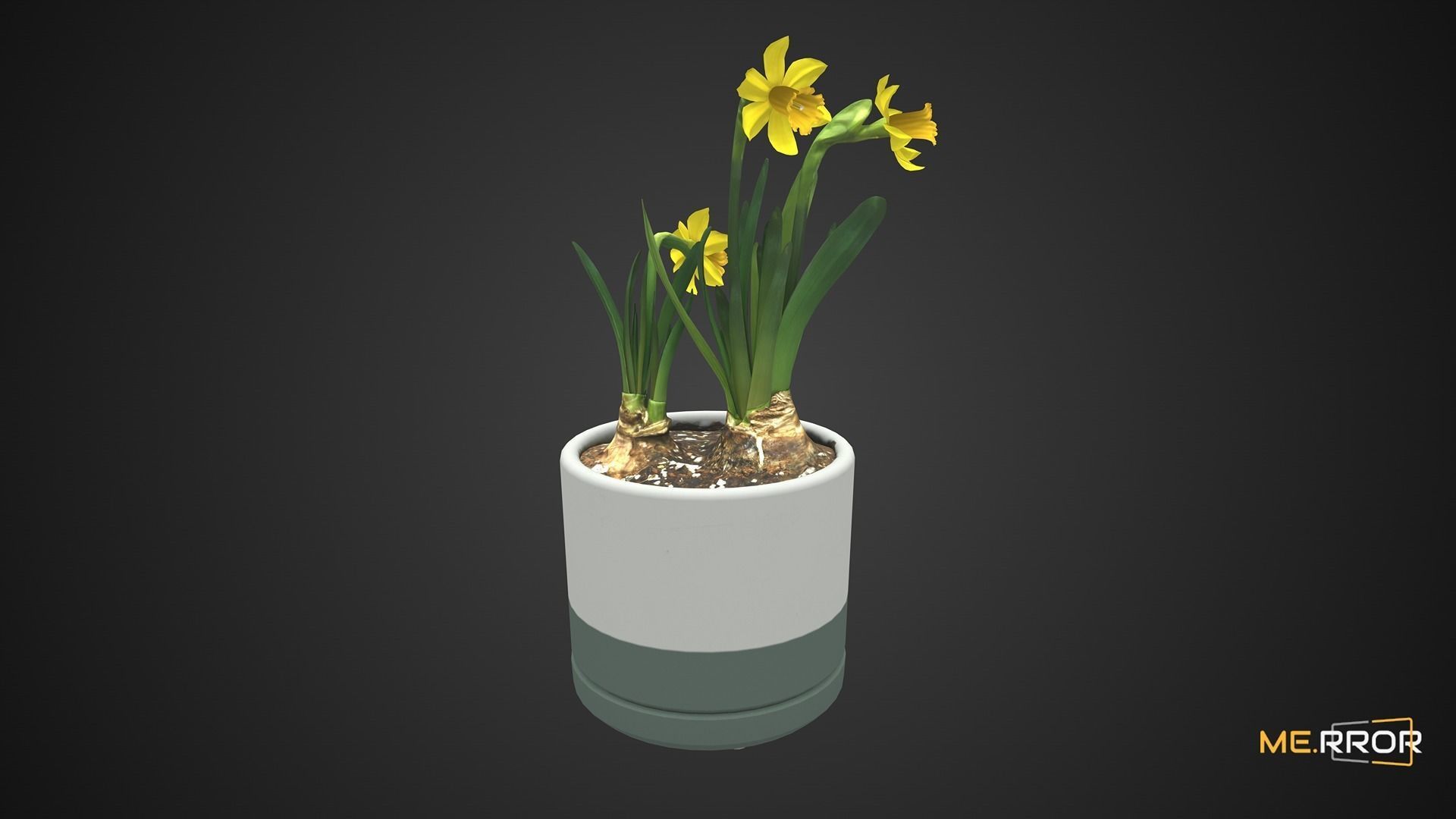 Game Ready Daffodil Pot Low-poly 3D model_3