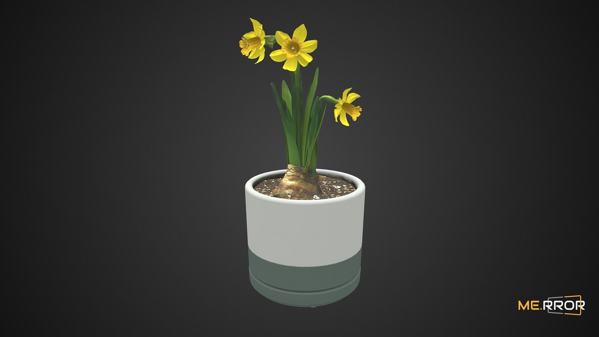 Game Ready Daffodil Pot Low-poly 3D model_2