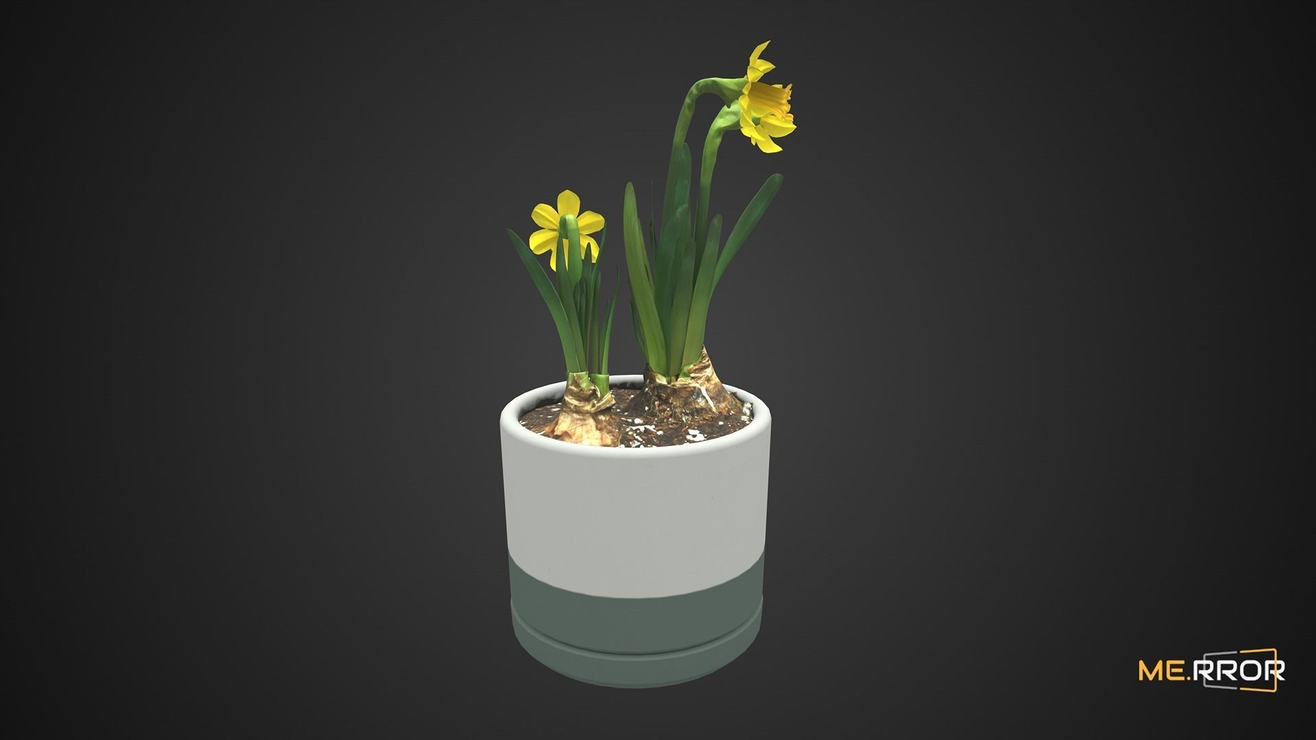 Game Ready Daffodil Pot Low-poly 3D model_7