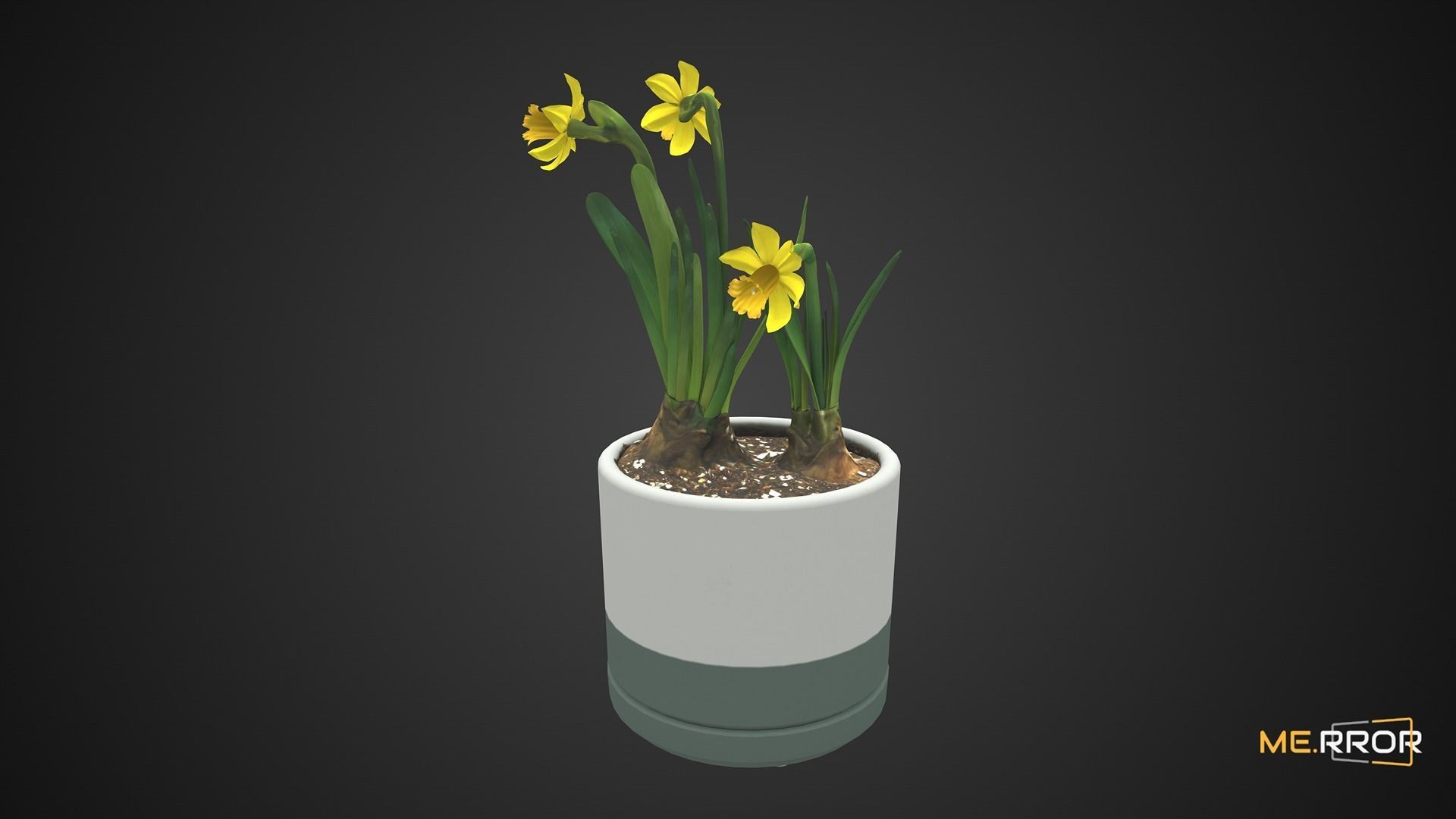 Game Ready Daffodil Pot Low-poly 3D model_8