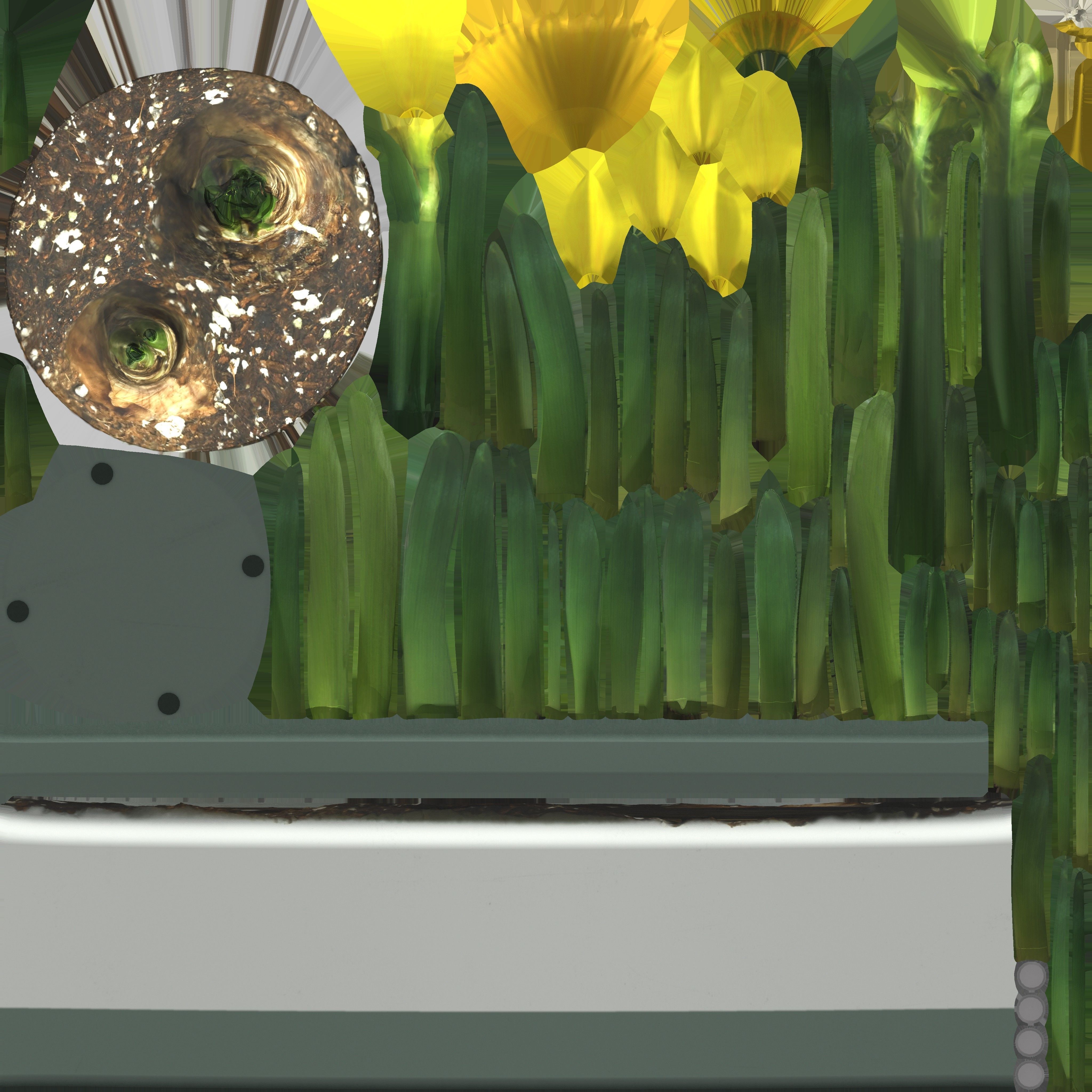 Game Ready Daffodil Pot Low-poly 3D model_14