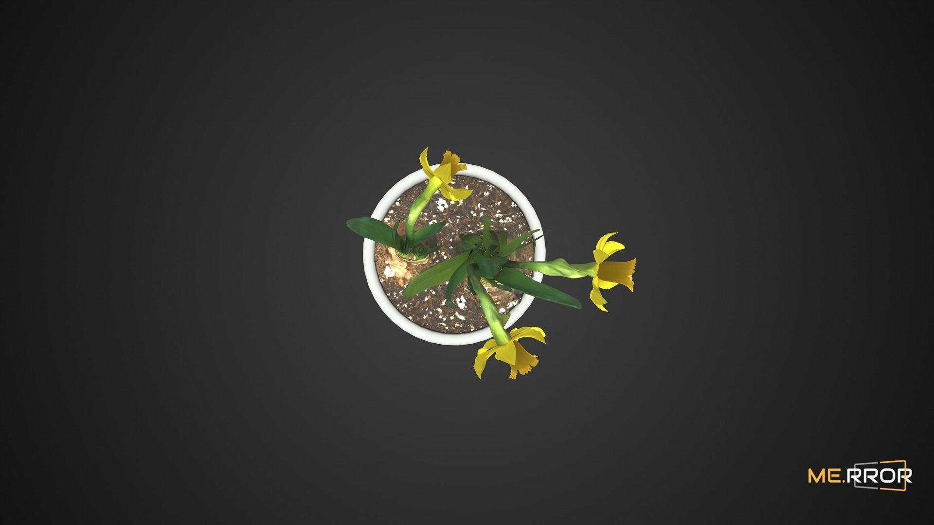 Game Ready Daffodil Pot Low-poly 3D model_4