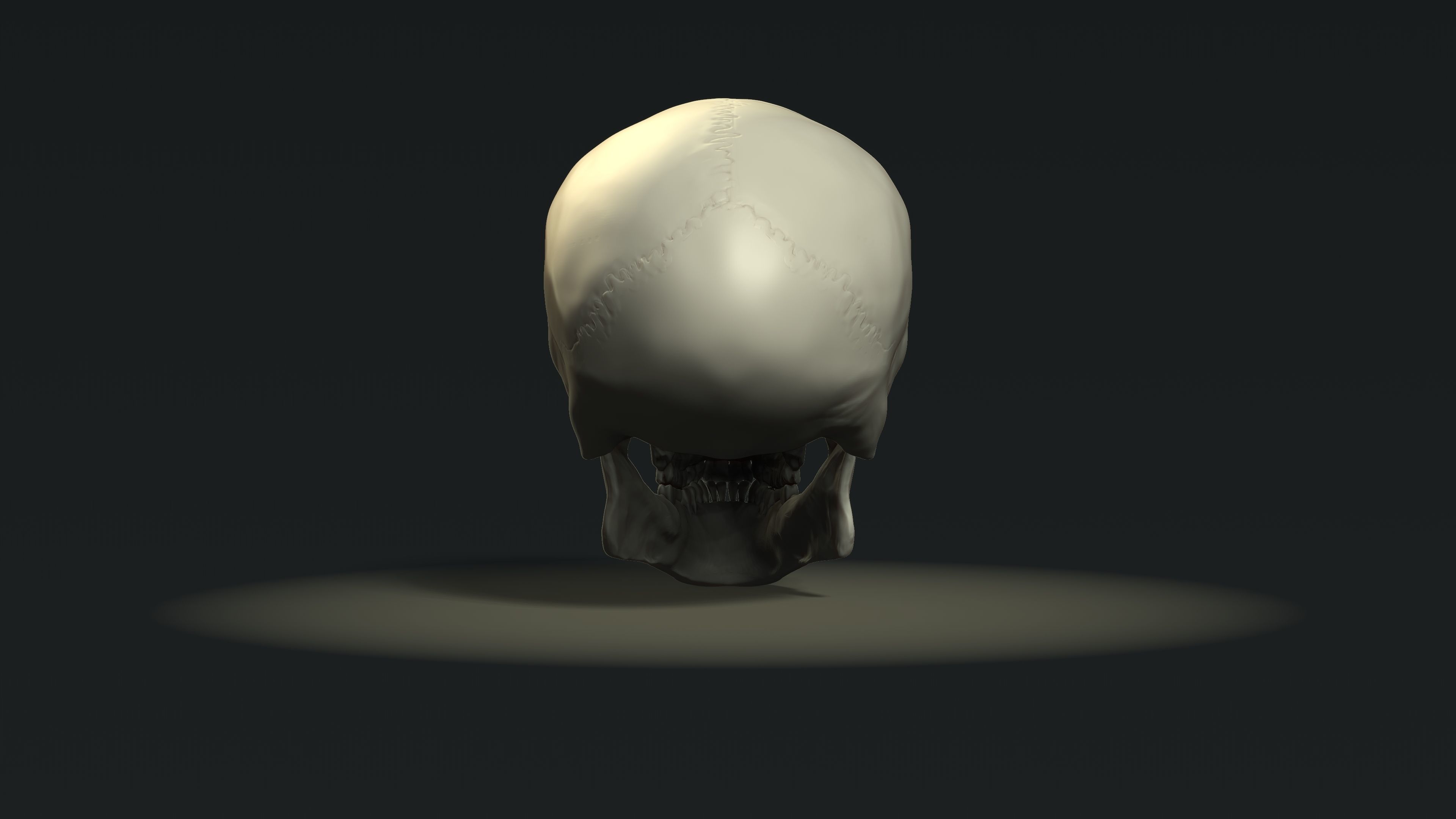 human skull 3D model 3D printable | CGTrader