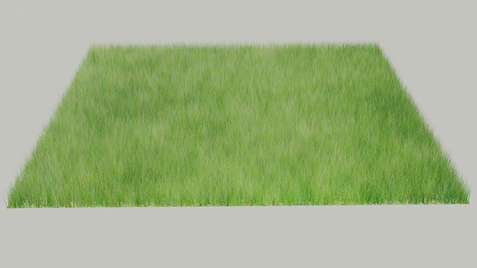 lawn grass Low-poly 3D model_4