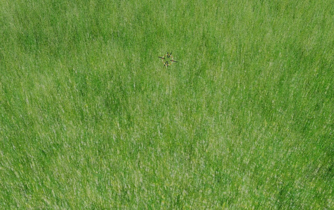 lawn grass Low-poly 3D model_1