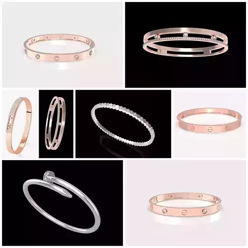 Fashion Bracelets Packet  3D Model Collection