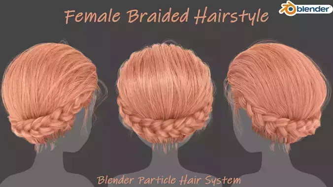 Female Braided Hairstyle-Blender Particle system