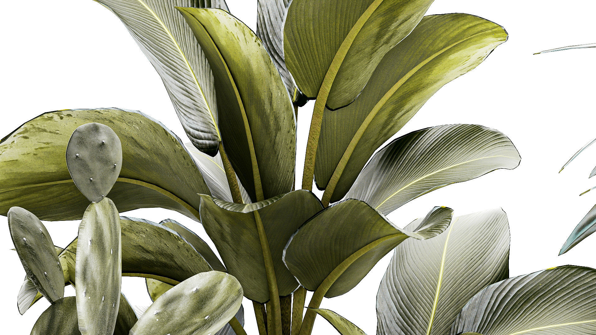 Set of beautiful desert plants in flowerpots for decor 1321 3D model_7