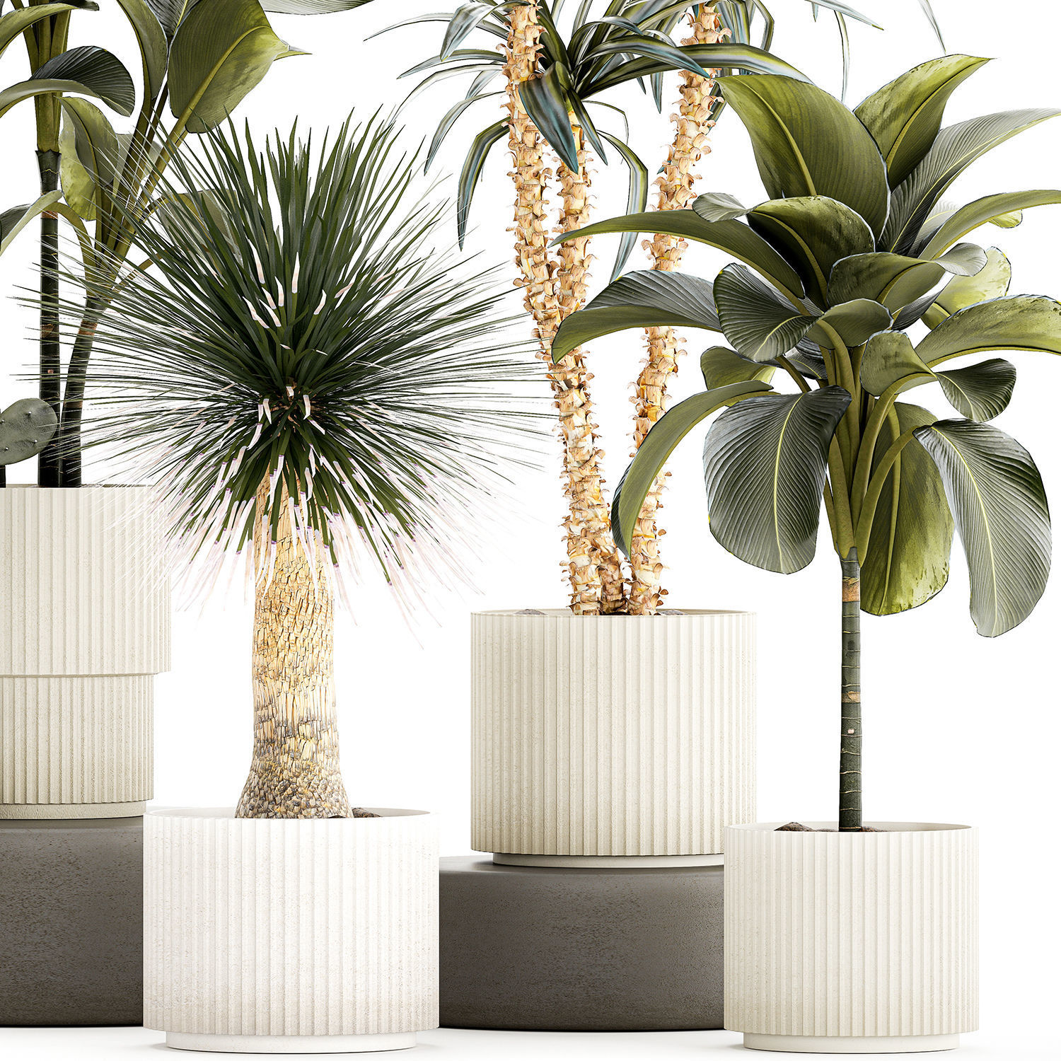 Set of beautiful desert plants in flowerpots for decor 1321 3D model_10