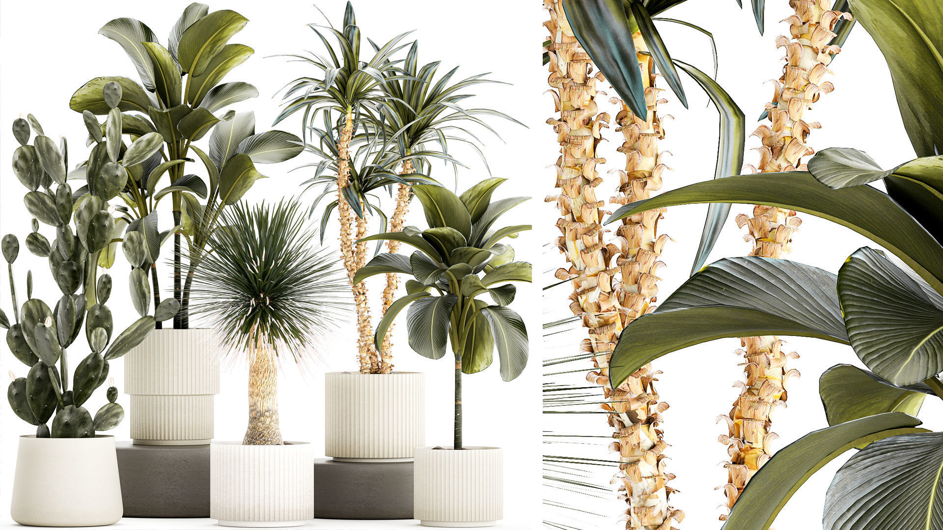 Set of beautiful desert plants in flowerpots for decor 1321 3D model_1